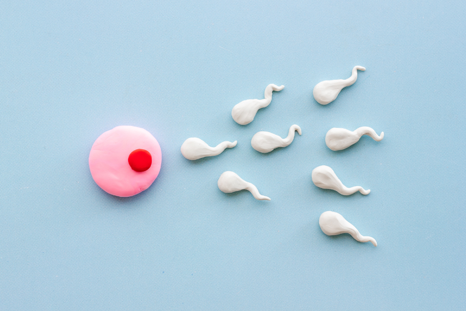 Fertilité après 30 ans : comment optimiser ses chances ?